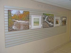 Sterling Heights Artist Of The Month